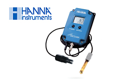 Jual Hanna Instruments Pengukur Suhu HI991404